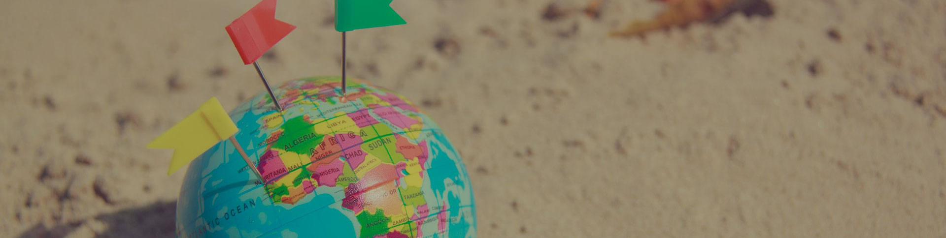 環(huán)球購(gòu)物官方網(wǎng)站|一網(wǎng)天行-網(wǎng)站建設(shè)小程序APP系統(tǒng)軟件開(kāi)發(fā)公司