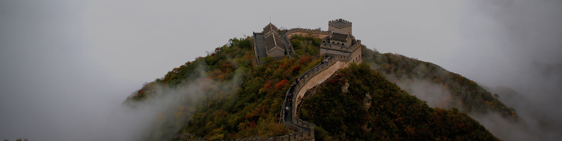 文物保護工程專業(yè)人員-考核證書信息平臺|一網天行-網站建設小程序APP系統(tǒng)軟件開發(fā)公司