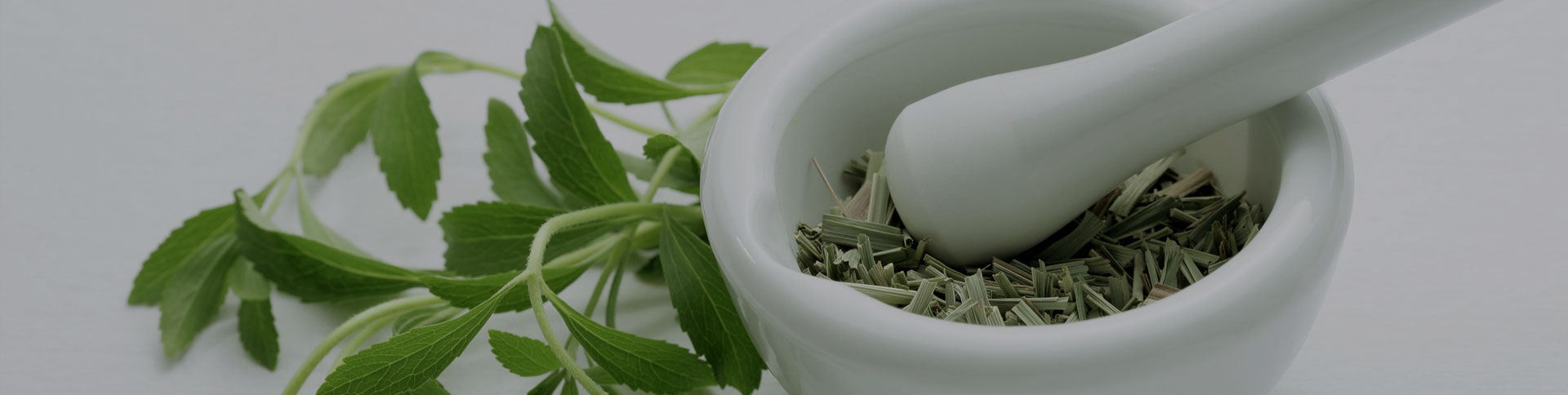 種藥吧-中藥供需信息發(fā)布平臺|一網(wǎng)天行-網(wǎng)站建設小程序APP系統(tǒng)軟件開發(fā)公司