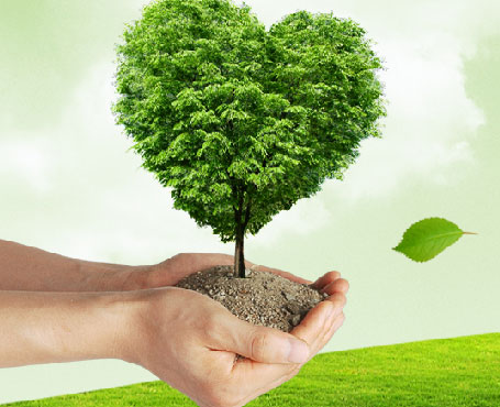 吉林天澤企業(yè)宣傳網站