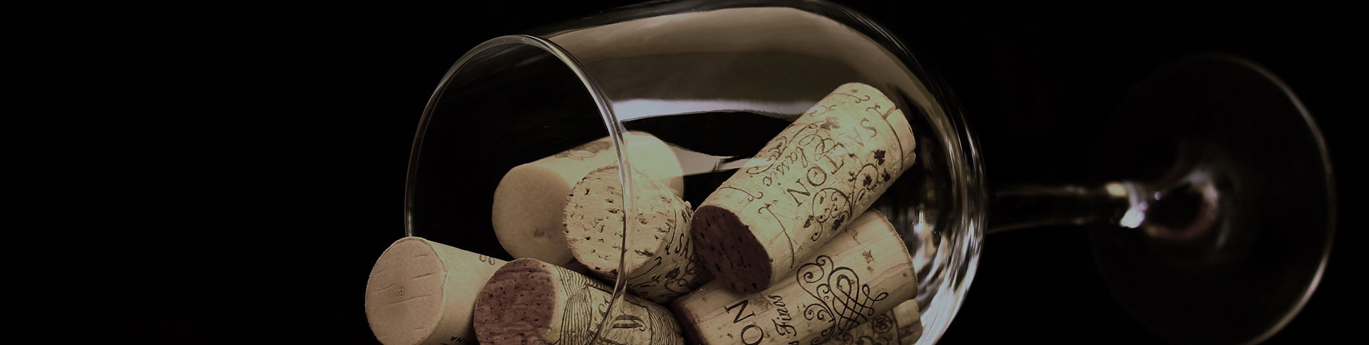 廣博康泰企業(yè)宣傳網(wǎng)站|一網(wǎng)天行-網(wǎng)站建設(shè)小程序APP系統(tǒng)軟件開(kāi)發(fā)公司