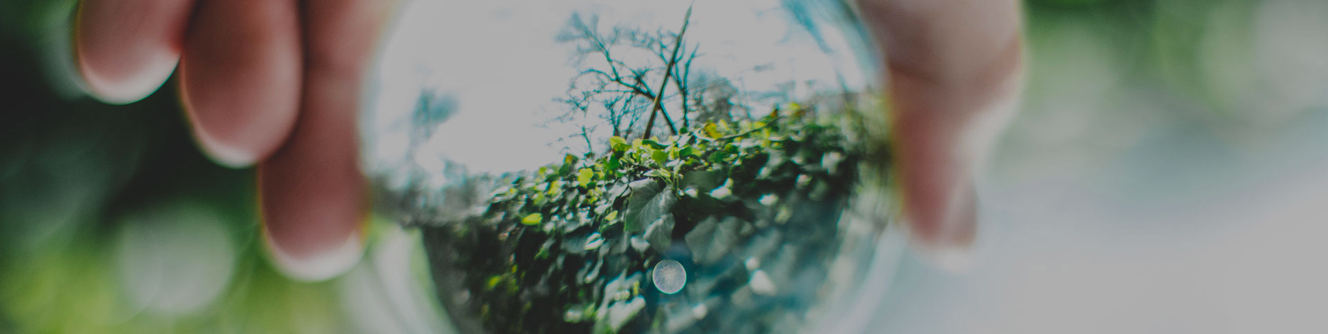 中關(guān)村節(jié)能環(huán)保專委會網(wǎng)站|一網(wǎng)天行-網(wǎng)站建設(shè)小程序APP系統(tǒng)軟件開發(fā)公司