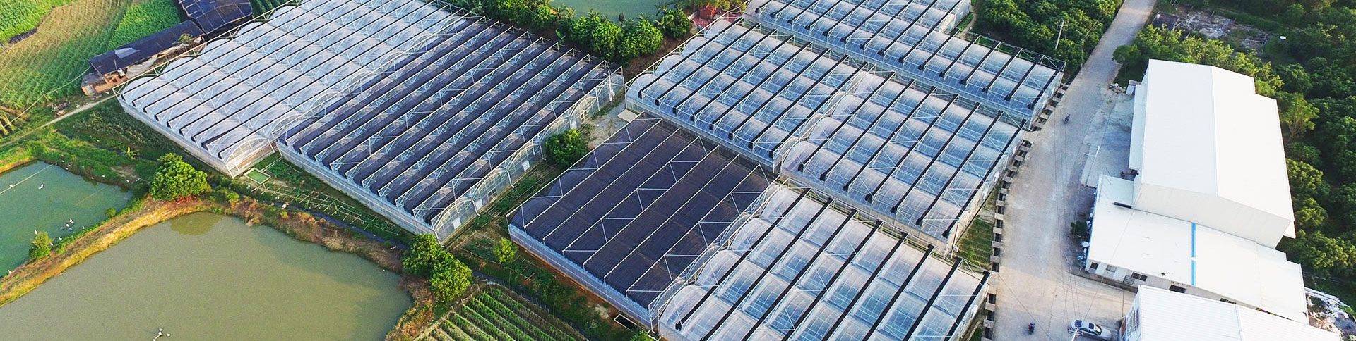 健康產(chǎn)業(yè)集團(tuán)公司品牌宣傳網(wǎng)站|一網(wǎng)天行-網(wǎng)站建設(shè)小程序APP系統(tǒng)軟件開(kāi)發(fā)公司